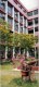 Thumbs/tn_019.jpg