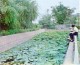 Thumbs/tn_09.jpg