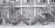 Thumbs/tn_39.jpg