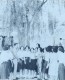 Thumbs/tn_08.jpg