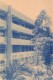 Thumbs/tn_059.jpg