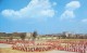 Thumbs/tn_124.jpg