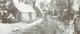 Thumbs/tn_195.jpg