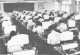 Thumbs/tn_210.jpg