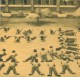 Thumbs/tn_288.jpg