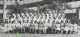 Thumbs/tn_339.jpg