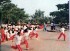 Thumbs/tn_(395).jpg