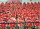 Thumbs/tn_209.jpg