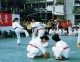 Thumbs/tn_254.jpg