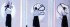 Thumbs/tn_(162).jpg