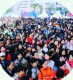 Thumbs/tn_296.jpg