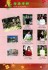 Thumbs/tn_(399).jpg