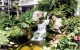 Thumbs/tn_020.jpg