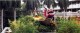 Thumbs/tn_024.jpg