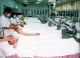 Thumbs/tn_131.jpg