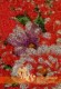 Thumbs/tn_4349.jpg