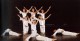 Thumbs/tn_119.jpg