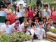 Thumbs/tn_137.jpg