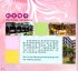 Thumbs/tn_(424).jpg