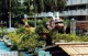 Thumbs/tn_019.jpg